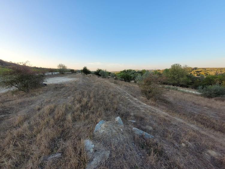 Teren Cernavodă 14.000 m/4 euro m - 8