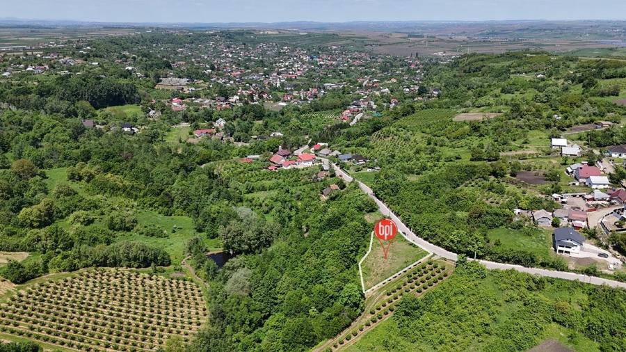 SE VINDE teren INTRAVILAN de 1313mp  + 18.687mp EXTRAVILAN, in RADASENI, SV - 10