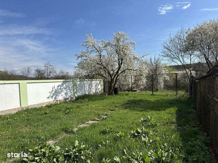 Casa de vanzare in sat Boian - 9