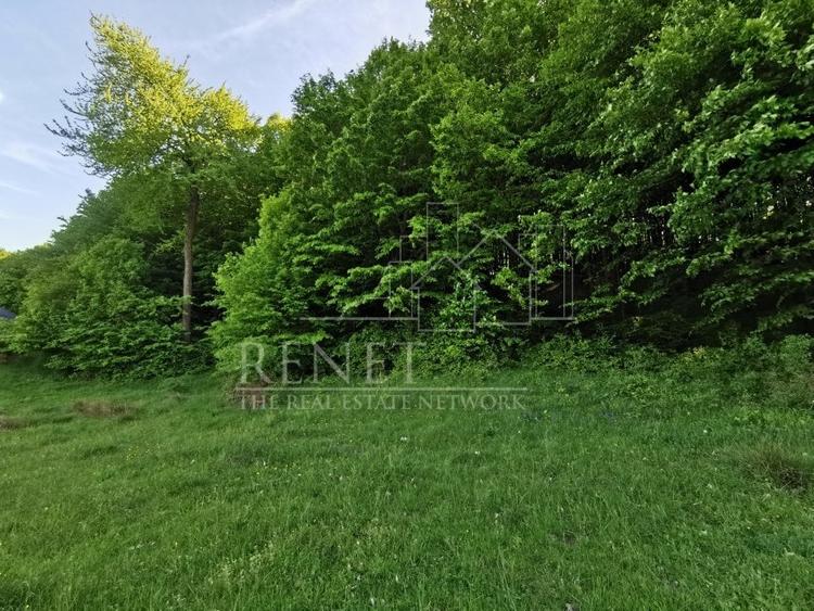 Oportunitate de Investiție - Teren de Basm in Bascov. DIRECT PROPRIETAR. - 11