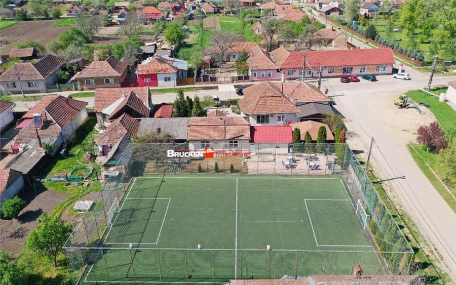 PROPRIETATE CU AFACERE FUNCTIONALA DE - PETREU, LANGA MARGH - 9