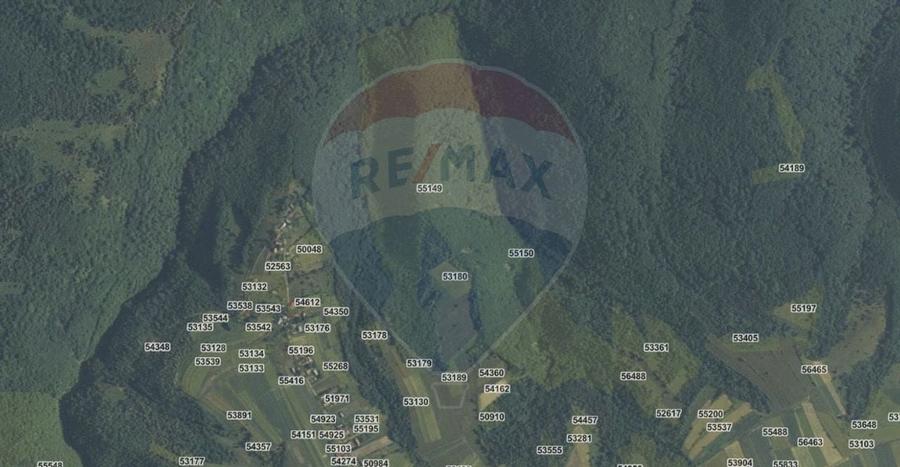 Padure 34 ha Capusu Mare - 1