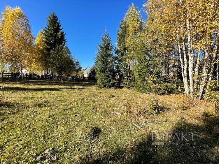 Teren intravilan de 2001 mp în Calatele Padure, comuna Calatele! - 6