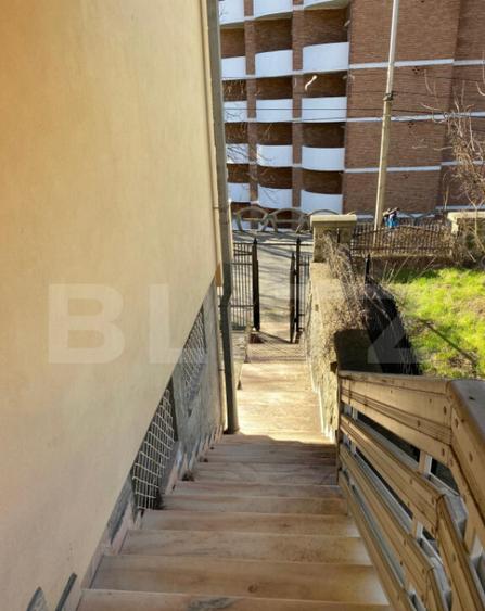 Vila 7 camere, 750mp-teren, BAILE HERCULANE - 4