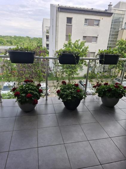 Baneasa-Felicty Resident-lux - 18