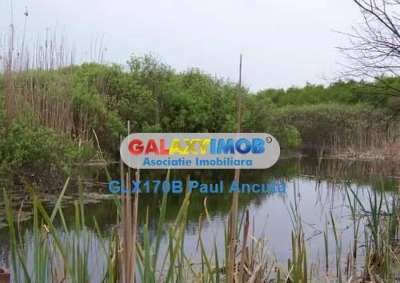 Teren Snagov 8800 mp vedere Padure si lac acces la Nod A3 - 1