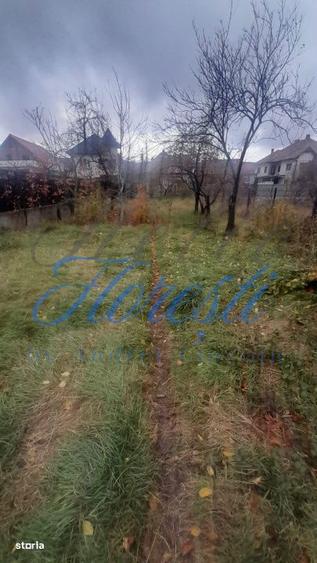 Casa individuala 2 camere 91 mp cu gradina 701 mp zona Muzeul Apei Flo - 1