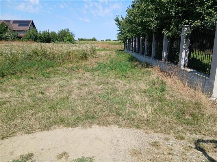 Teren intravilan 700 mp, deschidere 28 ml, zona Bogdan Voda - 3