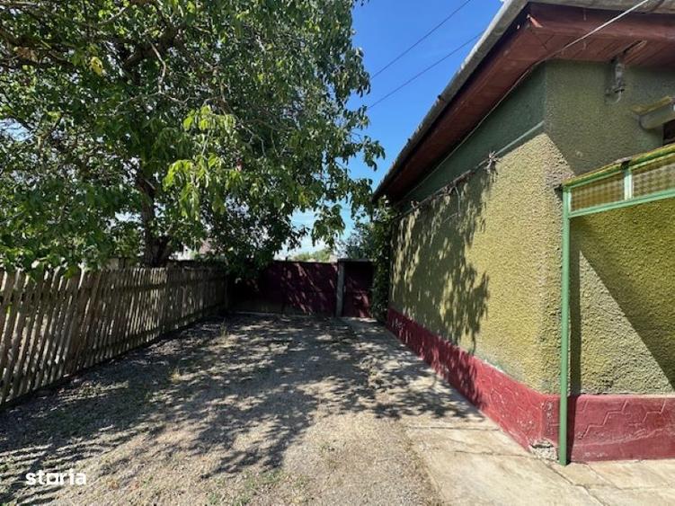 CASA CU TEREN 6060 MP | LOC. BICACI | BIHOR - 1