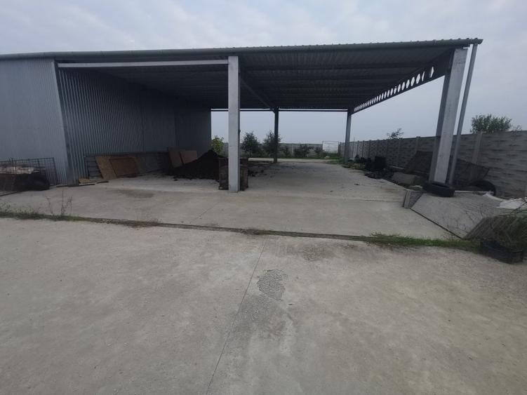 Hala Padureni 300 mp - 5