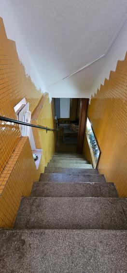 Vanzare - vila - Vatra Luminoasa - 9