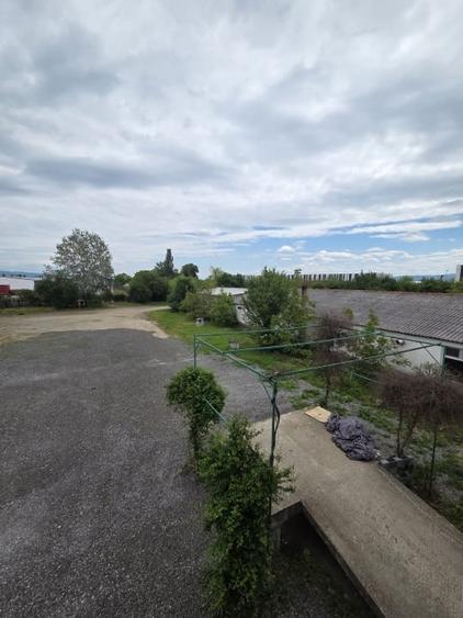 Teren cu hale de vanzare sau inchiriere ideal  investitie - Medies - 4