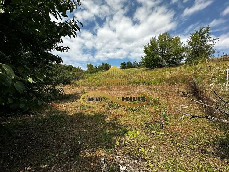 Teren extravilan 1870 mp-de vanzare 14EUR/mp Sohodol / Bacau - 1