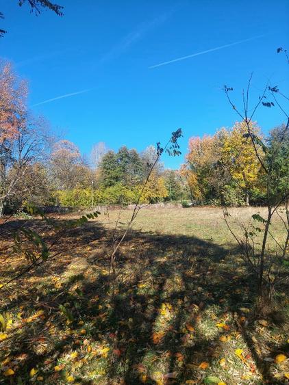 Vând teren 4200mp, int și ext în Romani  de jos - 4