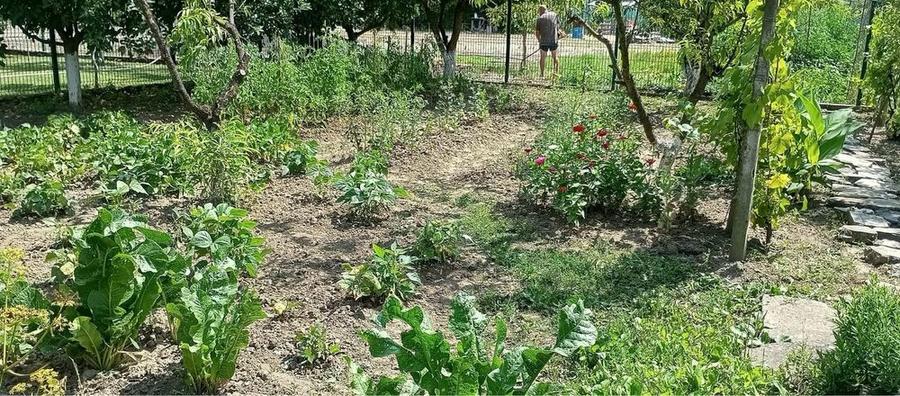 Vand casa in Simleu Silvaniei - 7