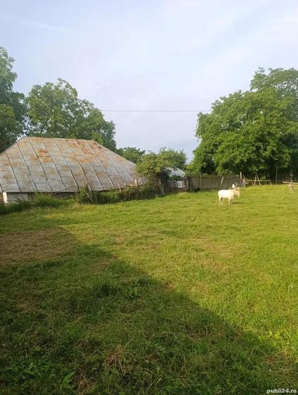 Teren intravilan, Carligi,com. Stefan cel Mare - 5