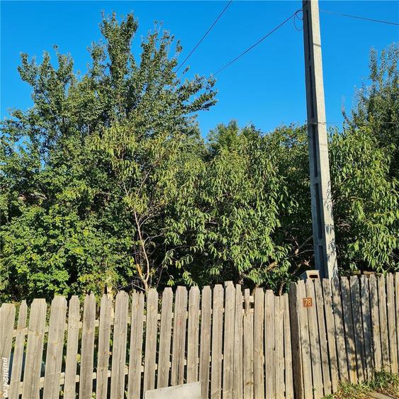 CASA DE VANZARE TANDAREI (curte din Str. Garii pana in Str Caprioarei) - 4