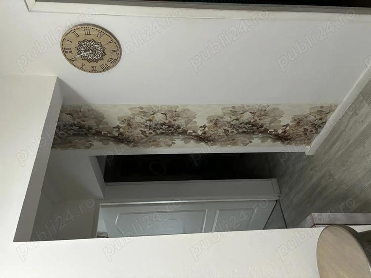 Apartament 3 camere, decomandar, parter, str. Grigore Procopiu - 4