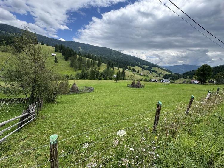Teren de vanzare la munte in Bucovina - 8