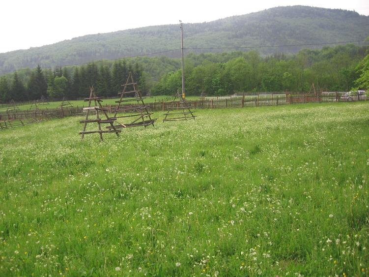 Teren intravilan situat in Traiteni,Valea Doftanei - 2