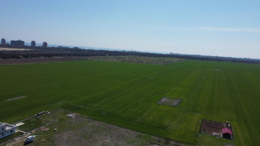 E rândul tău să faci investiții profitabile! Olimp-Padurea Comorova - 16