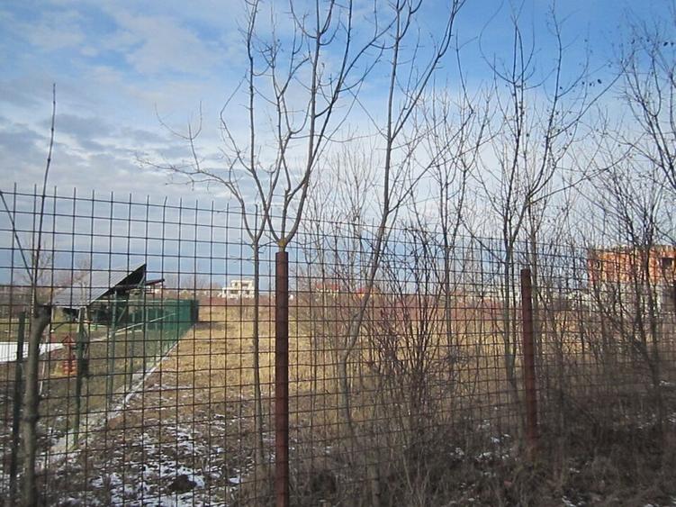 Domnesti-Teghes-Padure - 13