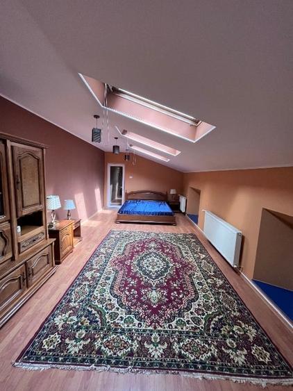 Casa de inchiriat ultracentral pentru birou - 9