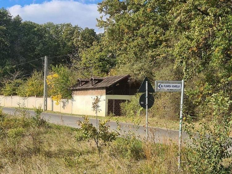 Corbeanca Padure 721 mp - 2