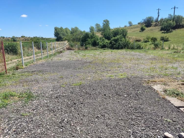 Teren de vanzare/inchiriat la 11 km de Autostrada - 1