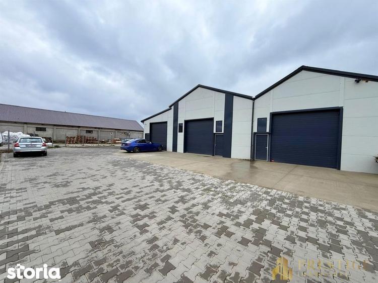 Hala 210 mp de inchiriat in Livada la 5 min de Aeroportul Oradea - 4
