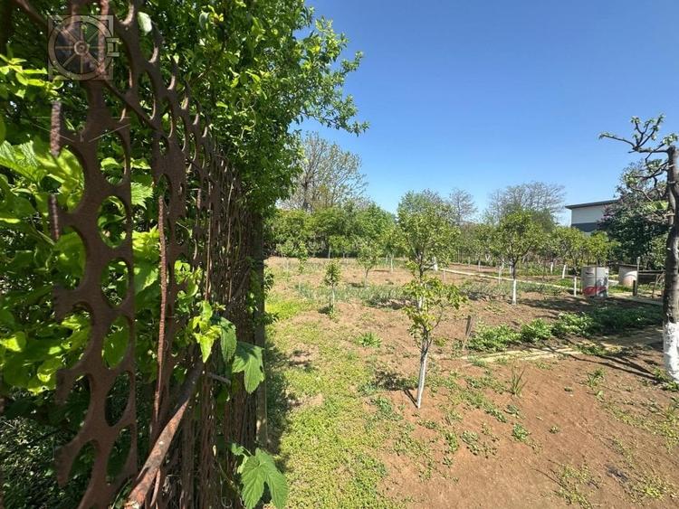 Casa - Mogosoaia -Individuala - 14