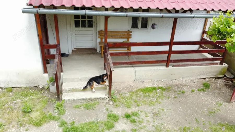 Casa in Co?teiu, teren de 1500 mp, la pret de apartament in Lugoj - 2