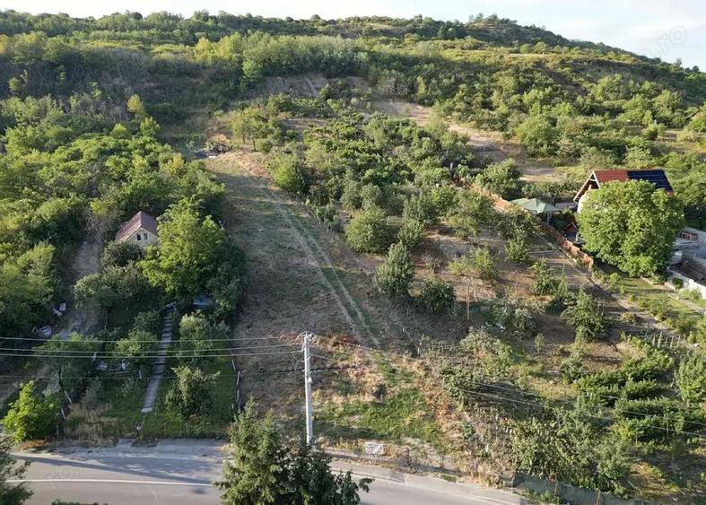 Teren intravilan Loc de casa 3.300 mp. - cartierul podgoria - IMOBIHOR - 1