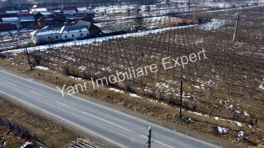 Teren de vanzare in comuna Mu?ate?ti, jude? Arge?. - 13