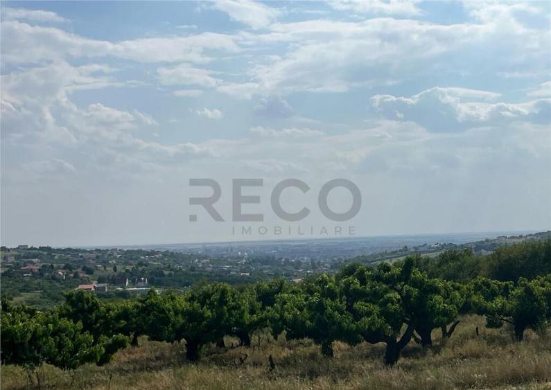 RECO Teren intravilan 850 mp -panorama oras- Saldabagiu de M - 1