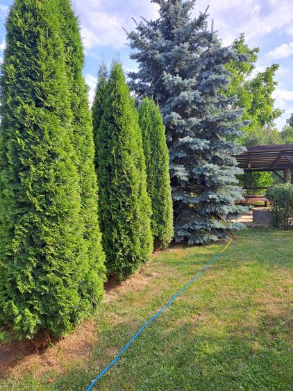 VILA IN REGIM DE INALTIME PARTER SI ETAJ ULTRAFINISATA PE 19 ARI TEREN - 44