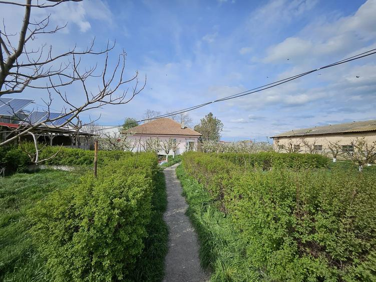 Ferma de vanzare sau la schimb cu teren arabil, imobiliare - 7