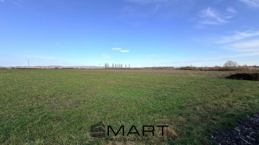 Teren Extravilan 15.000 mp Prejmer - 2