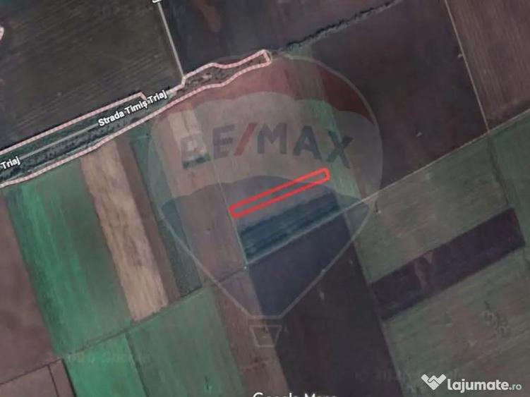 Comision 0%| Teren extravilan UAT Harman - 4