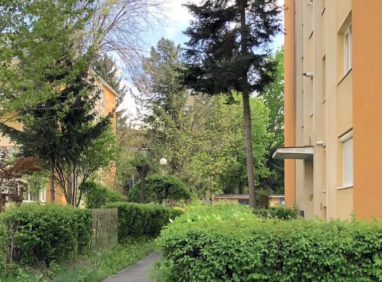 Apartament cu 3 camere în 7 Noiembrie 58 m2 (VANZARE SAU LA SCHIMB cu 40m2) - 1