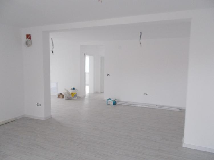 Duplex, intreg sau jumatate, Peciu Nou, parter, 4+4 camere, 674mp - 3