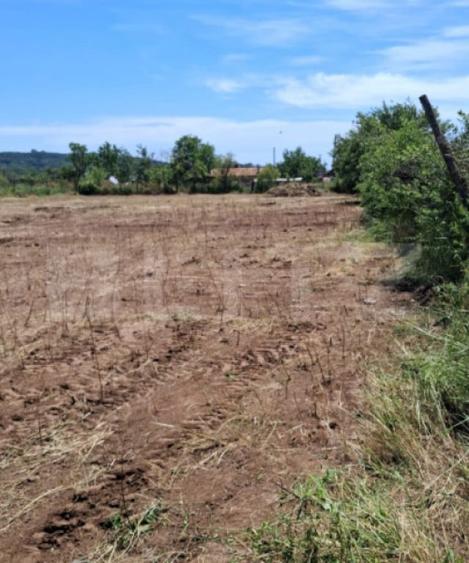 Teren intravilan 2.531 mp | Dubla deschidere la 2 strazi | - 3