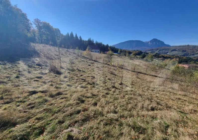 Teren pentru casute de vacanta - Poiana Marului - vedere la - 4