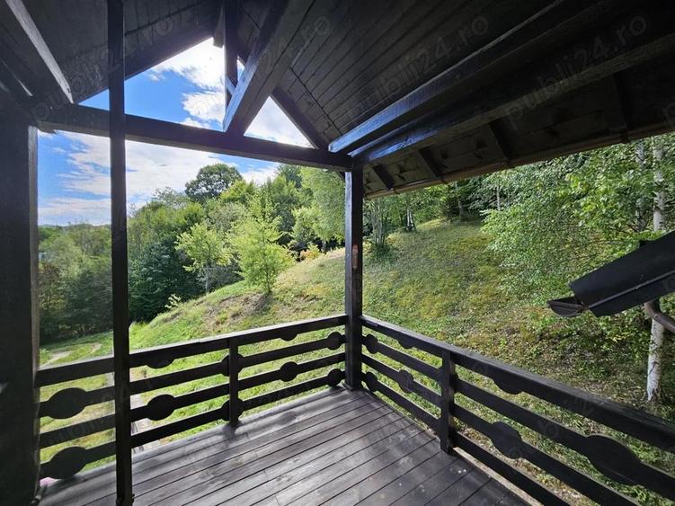 Casa de vacan?a de vanzare in comuna Bradule?, sat Bradetu, jude? Arge?. - 5