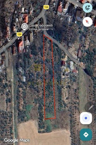 Teren Construcții intravilan de 3600 mp, în Cocoșești