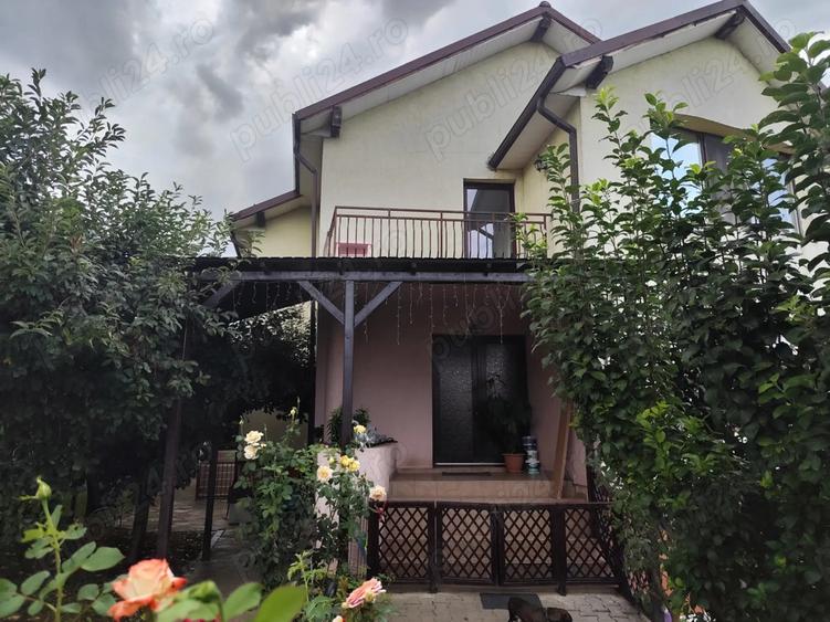 Zona deosebita, oportunitate de investi?ie casa individuala in Gruia - 3