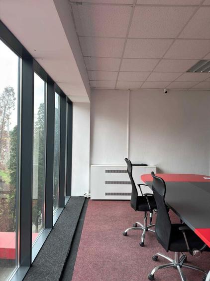 Birou de inchiriat - Zona Nicolina - 7