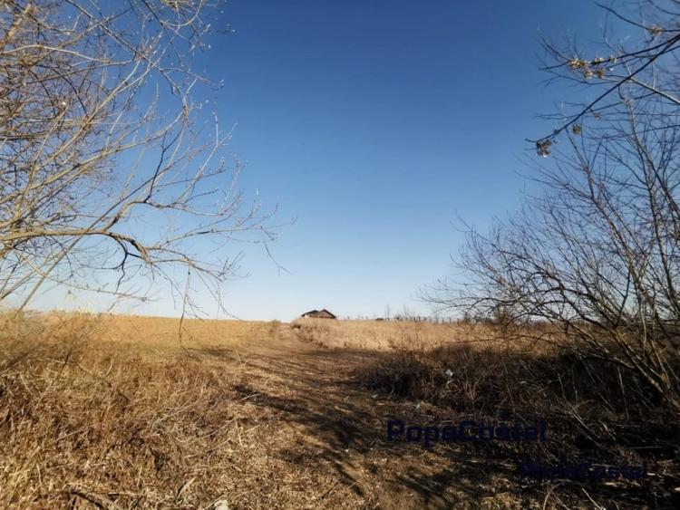 Silistea Snagovului teren intravilan 900 mp + 100 mp drum servitute - 6