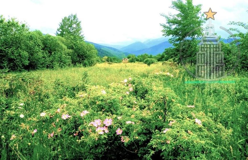 Teren extravilan  potențial turistic ridicat – Dejani, Recea, Munții Făgăraș - 6