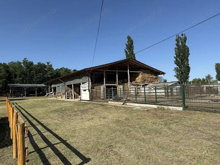 Catun Ferma autorizata Tip A pentru cresterea porcilor - IMOBIHOR - 11